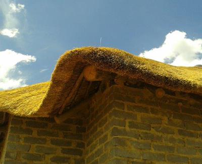 Dekgras | Thatching grass