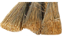 Thatching grass
